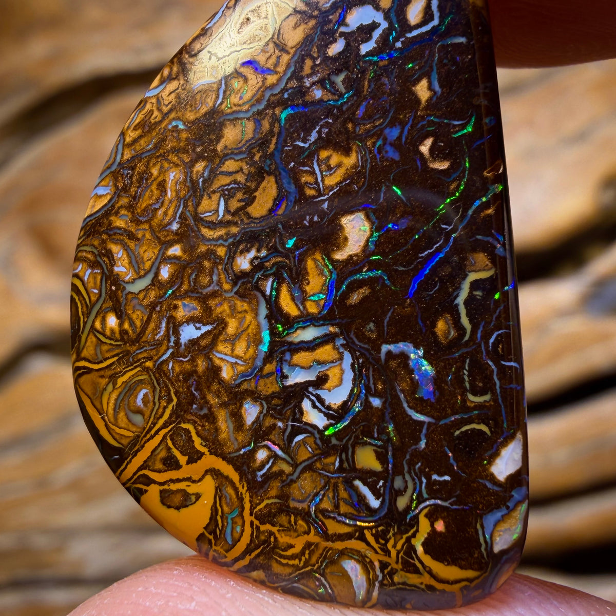 32.6cts - Tribal Queensland Boulder Opal from Yowah
