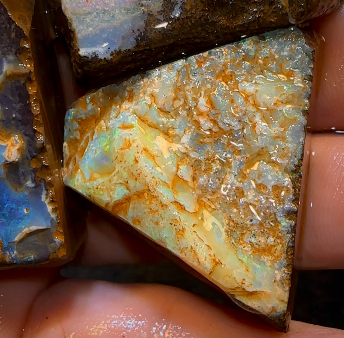 427.5cts - 3x Queensland Boulder Opal Rough Parcel from Winton