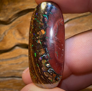 56.1cts - Tribal Koroit Nut Opal. Australian Opal