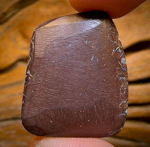 47.5cts - Top Tribal Koroit Nut Opal. Australian Opal