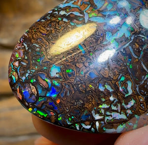 92.4cts - Tribal Koroit Nut Opal