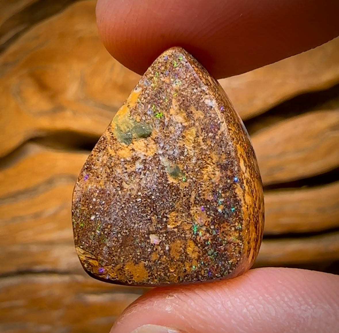 27.2cts - TOP GEM Australian Boulder Wood Fossil Opal From Yowah. Red Multicolours!