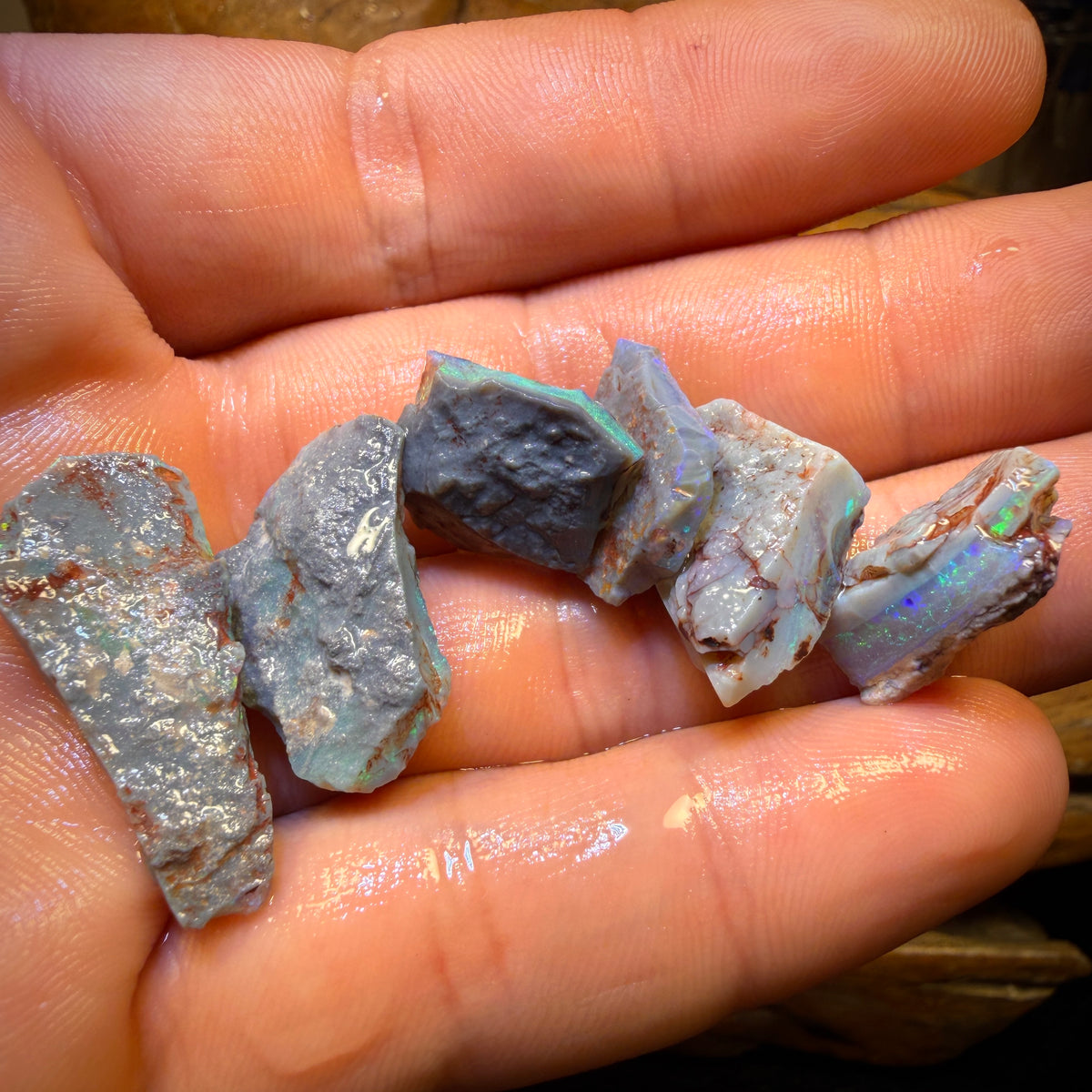42,9ct - 6x Lightning Ridge Opal Rohpaket