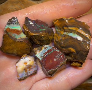 🔒 221,6 cts - Lot de 5 opales brutes Yowah Nut. Opale boulder australienne.