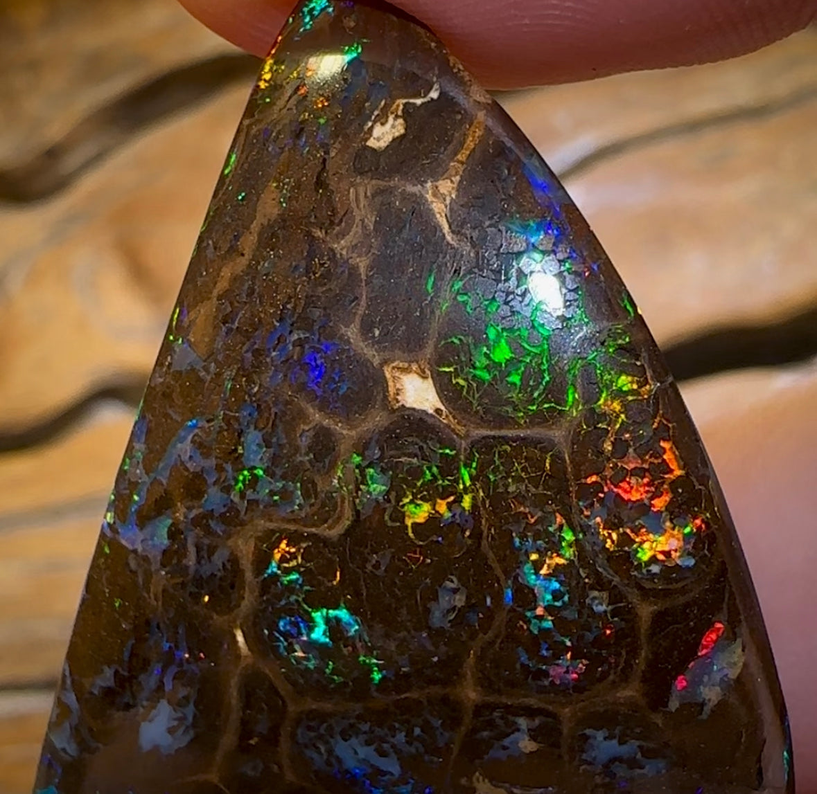(Must price at $6k as was quoted to christiane) 119.9cts - TOP Reflective Bubble Band Opal from Winton - Opal Whisperers