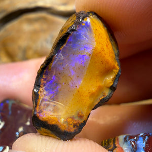 154.2cts - 3x Yowah Nut Rough Opal ParcelWith Crystal Centers