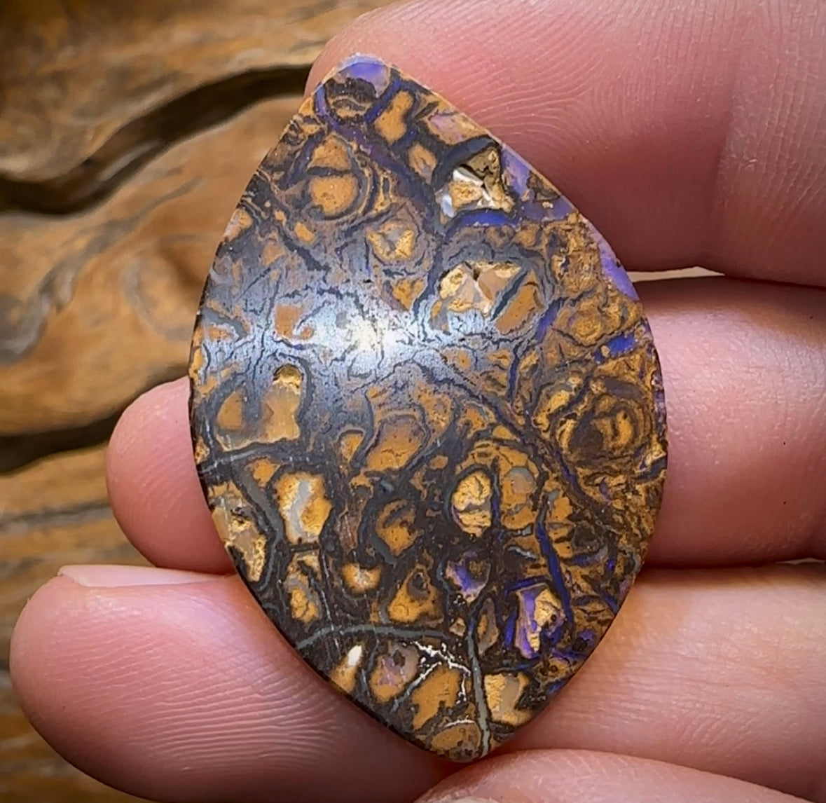 35.7cts - Yowah Nut Tribal Opal - Opal Whisperers