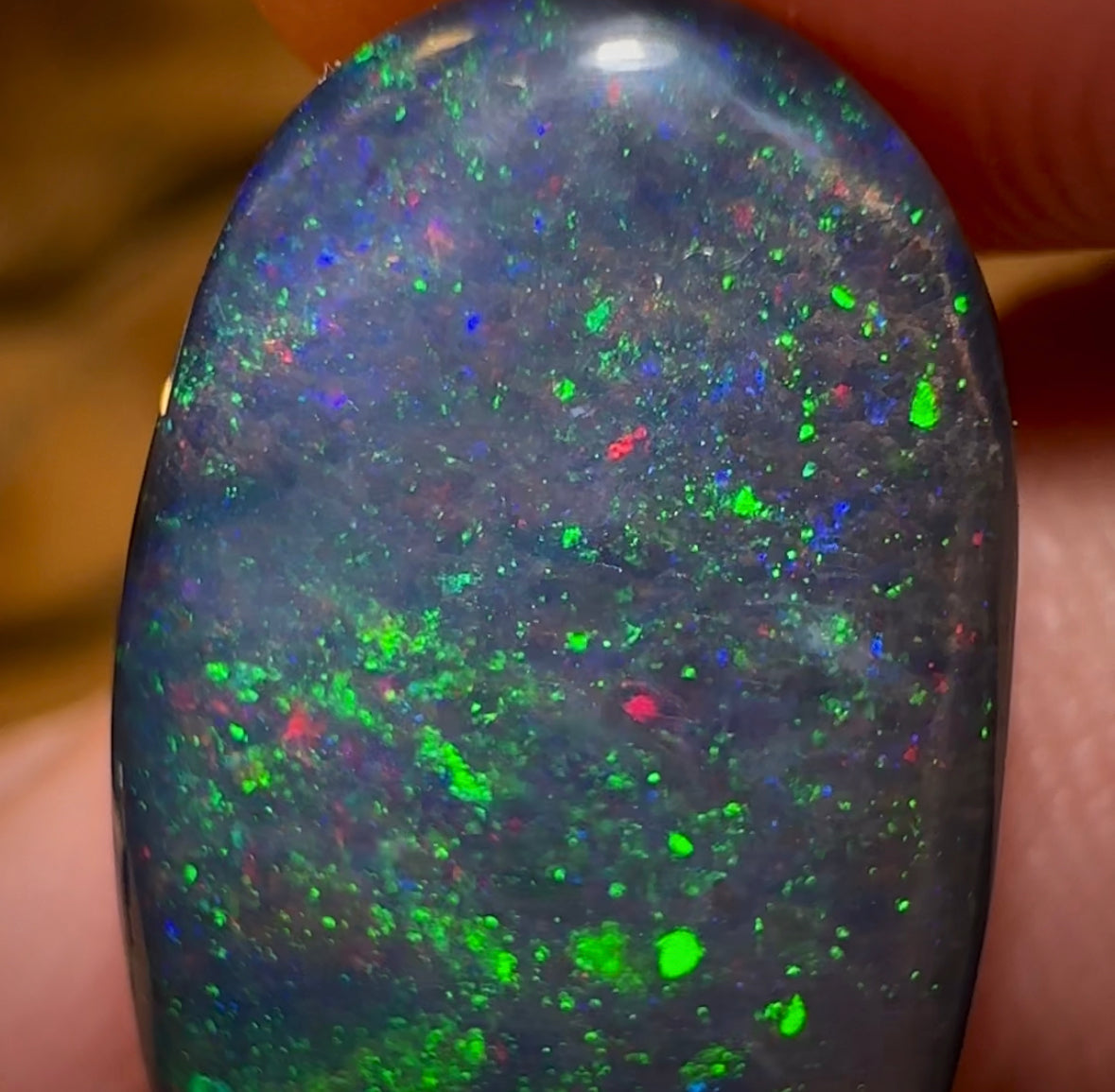13.4cts - TOP Queensland Black Boulder Seam Opal. GEM QUALITY - Opal Whisperers