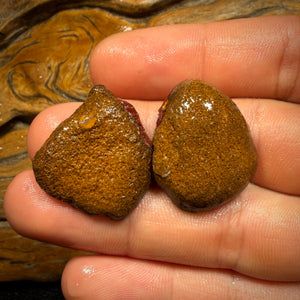 65.5cts - Yowah Nut Crystal Centre Rough Specimen Pair