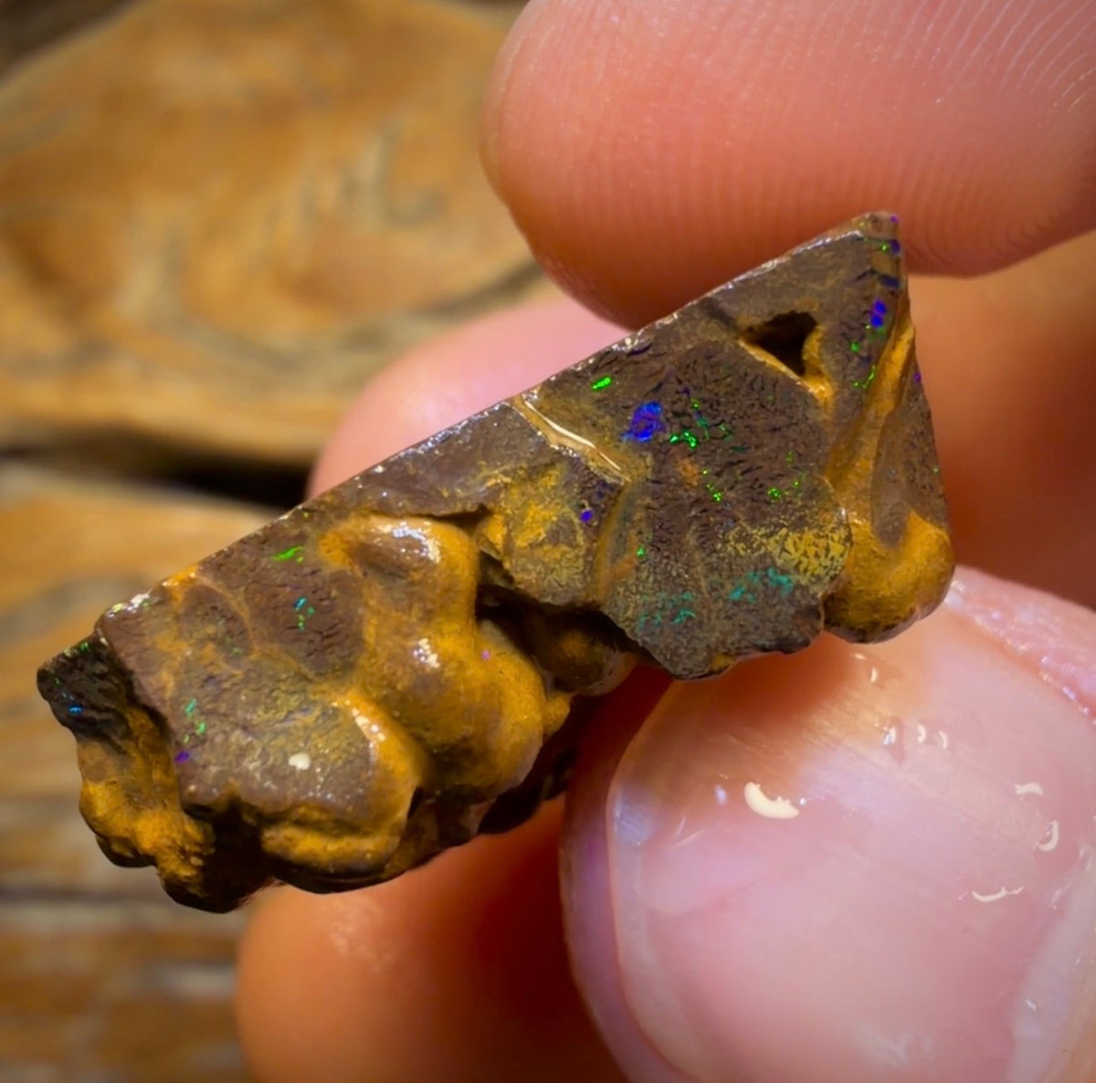 Wildcard! 76.7cts - Australian Boulder Opal Rough Piece. Bubble Band