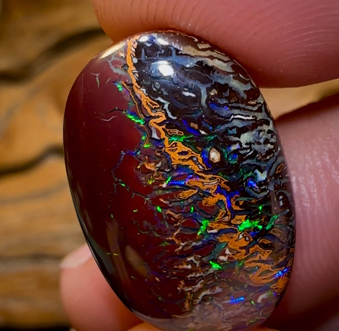 59.7cts - Tribal Boulder Opal - Opal Whisperers