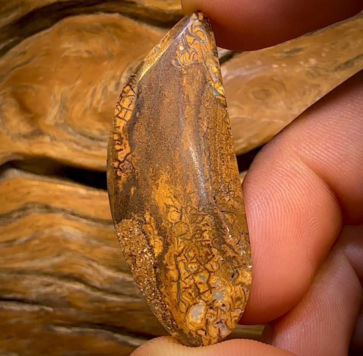 Auction Fall-Through = Your Gain! 🔥 Now More Than 50% Off RRP 🚨 48.4cts - Queensland Boulder Opal from Yowah