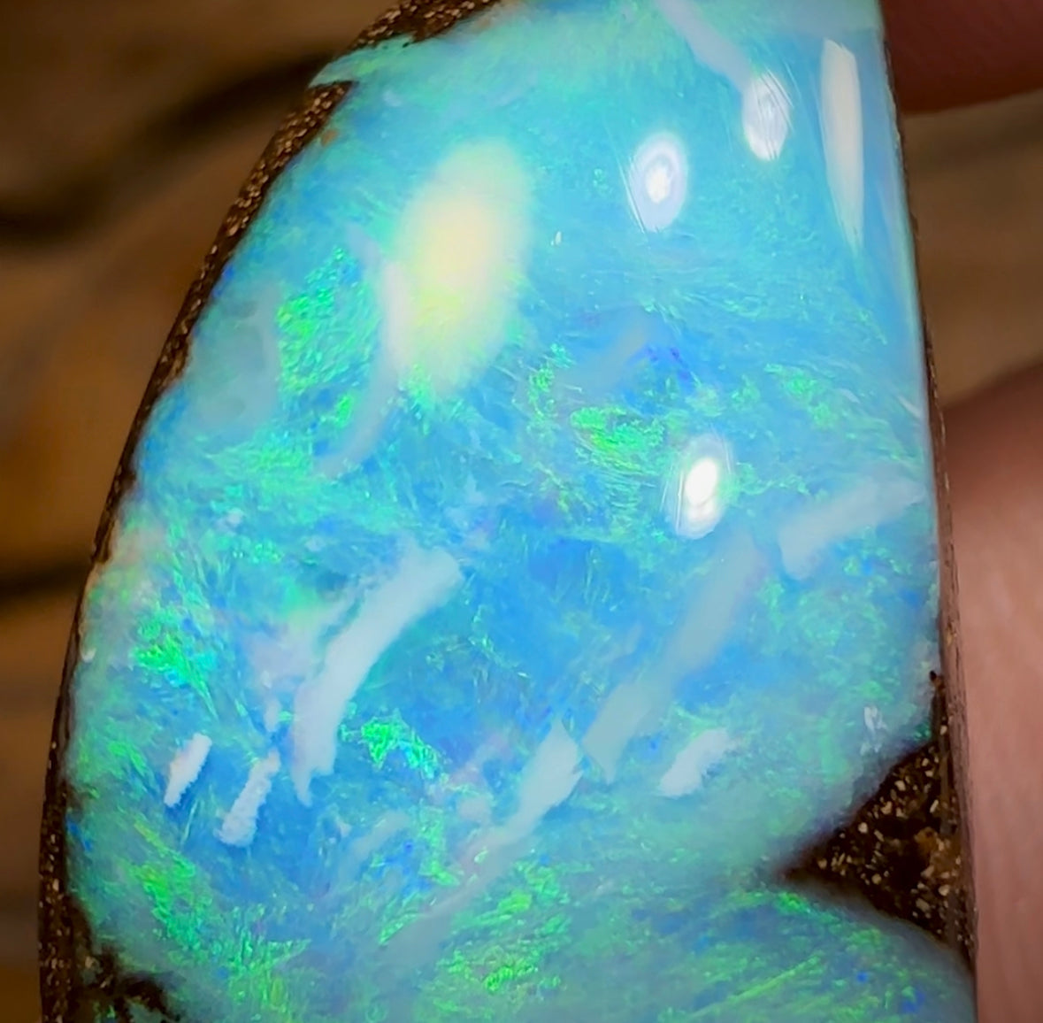 40.1cts - Queensland Boulder Opal from Winton - Opal Whisperers