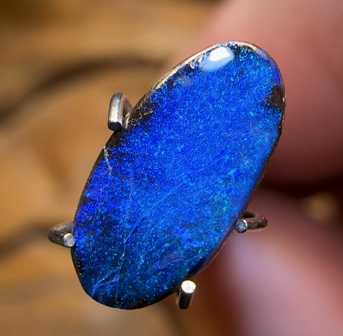🔨 AUCTION 🔨 1.52cts - Queensland Boulder Solid Seam Opal from Winton