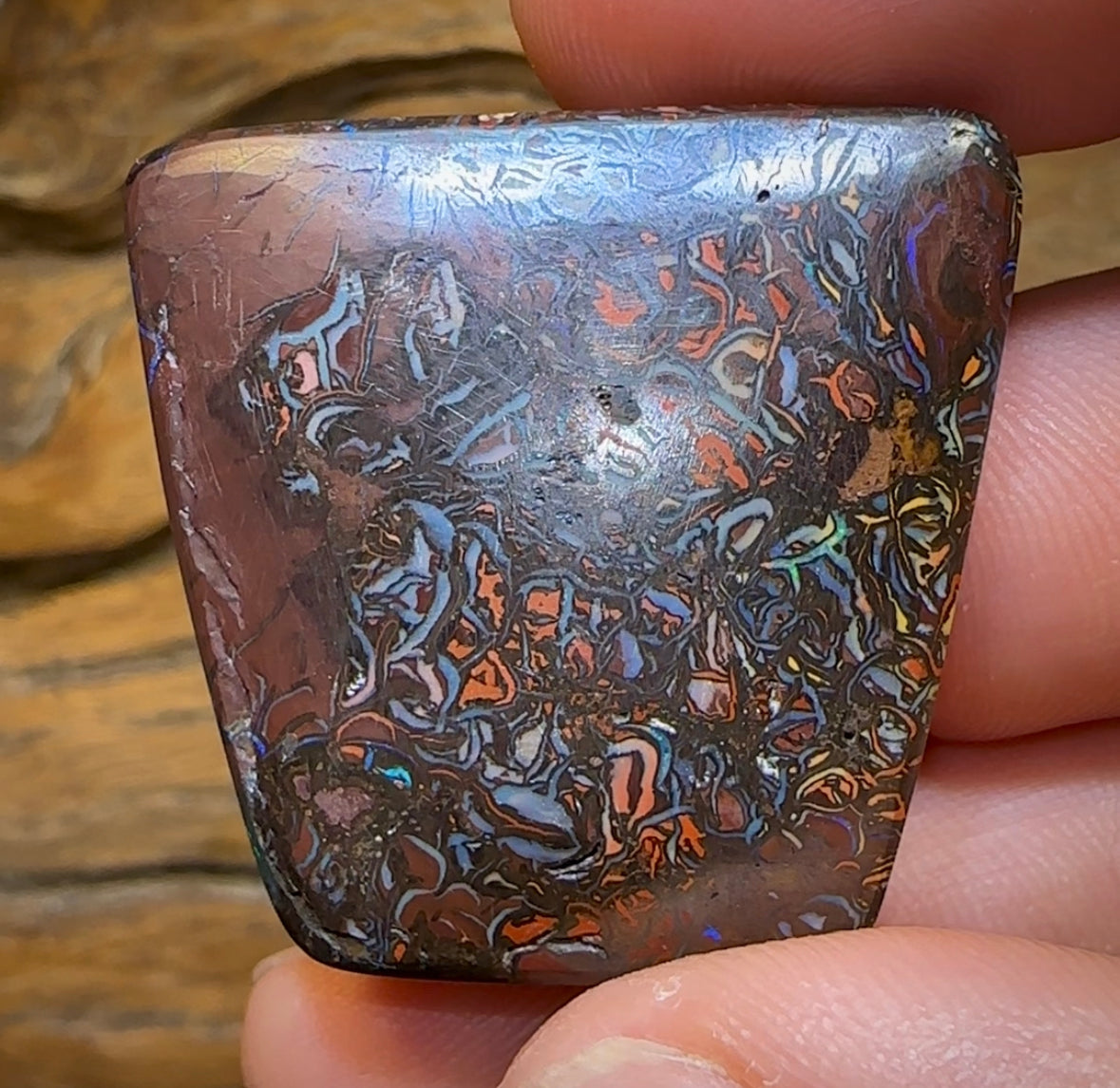 97.5cts - Tribal Australian Boulder Opal. Heritage Collection - Opal Whisperers