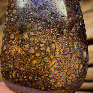 72.7cts - Tan Tribal Yowah Nut Opal. Red Multicolour