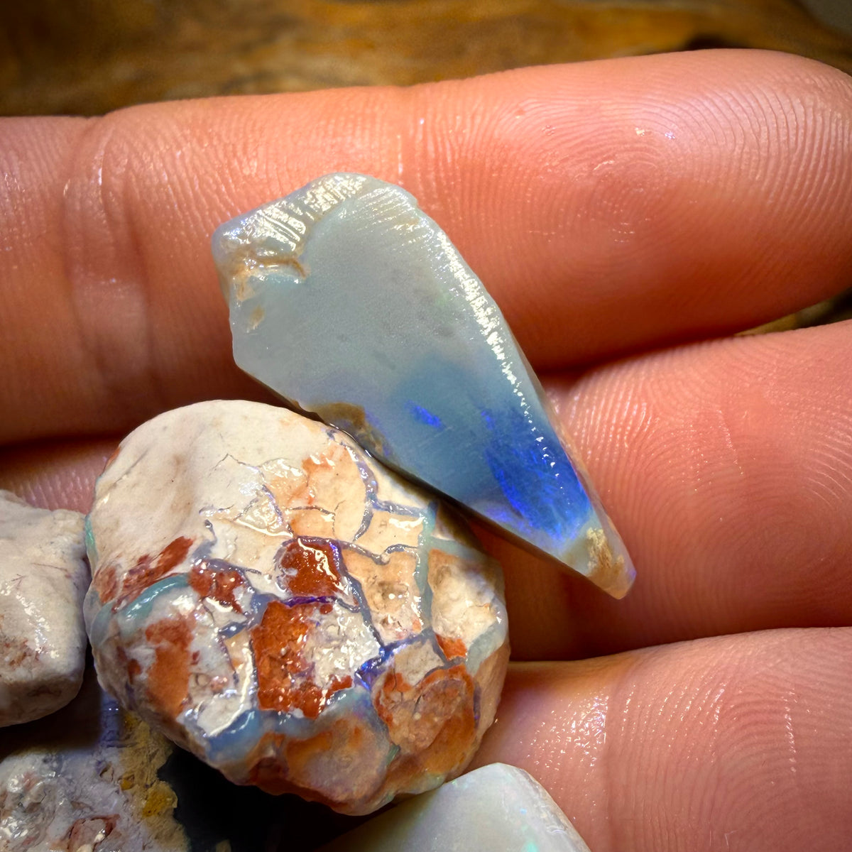 91.2cts - 5x Lightning Ridge Opal Rough Parcel