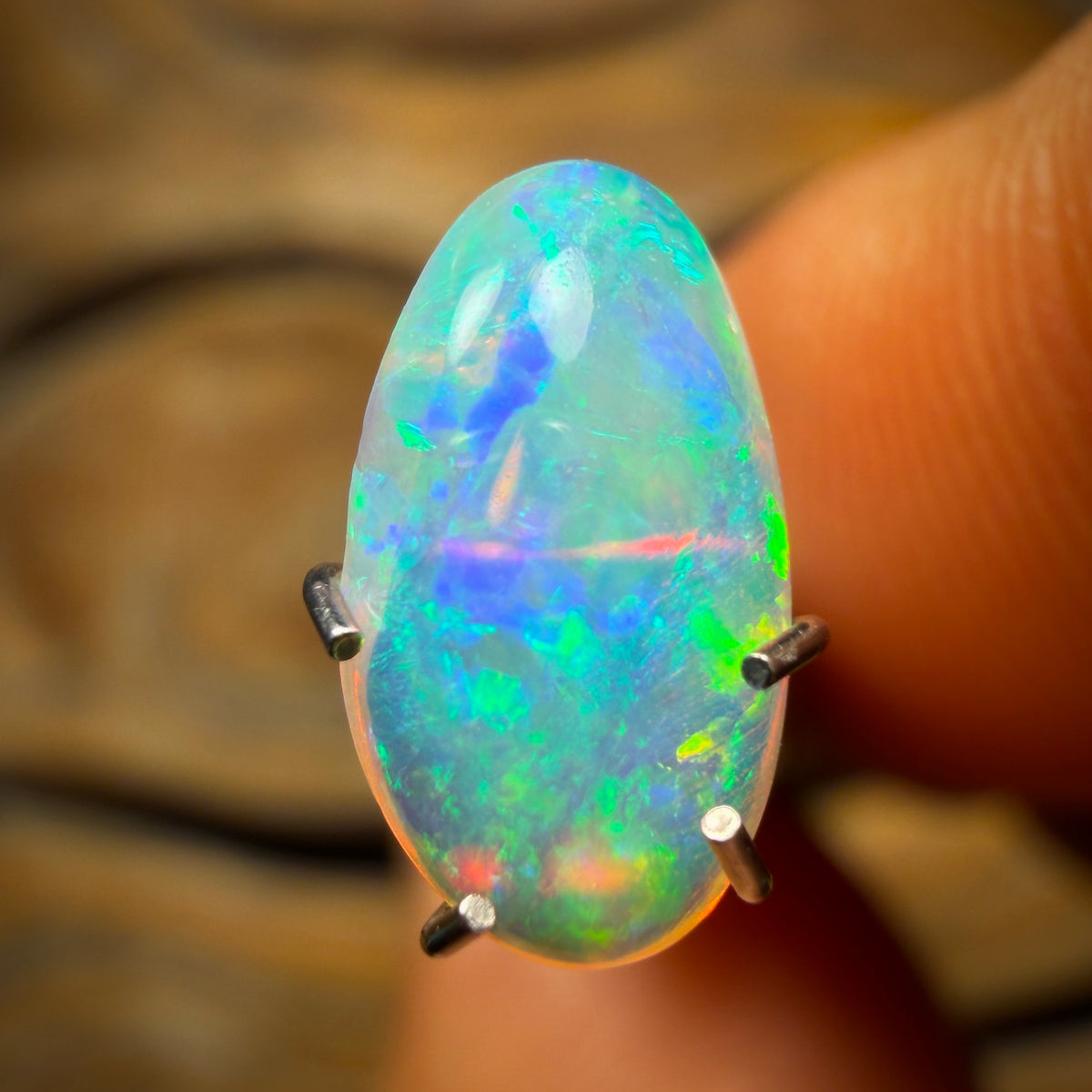 1.1cts - Gem Polished South Australian Shell Fossil Opal