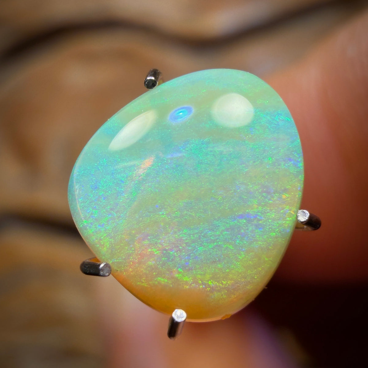 1.4cts - Solid Australian Boulder Pipe Crystal Opal
