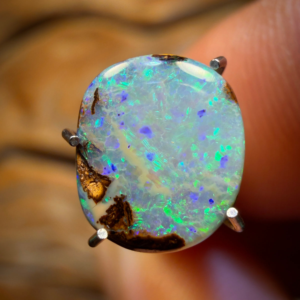 1.5cts - Australian Boulder Opal from Yowah