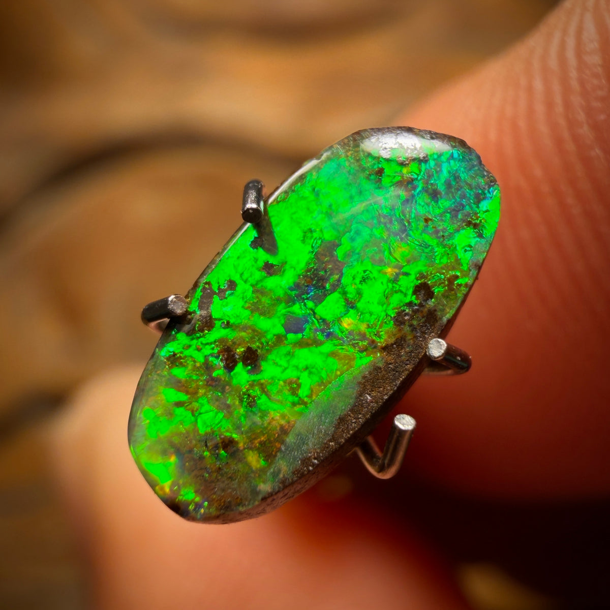 1.5cts - Australian Boulder Seam Opal