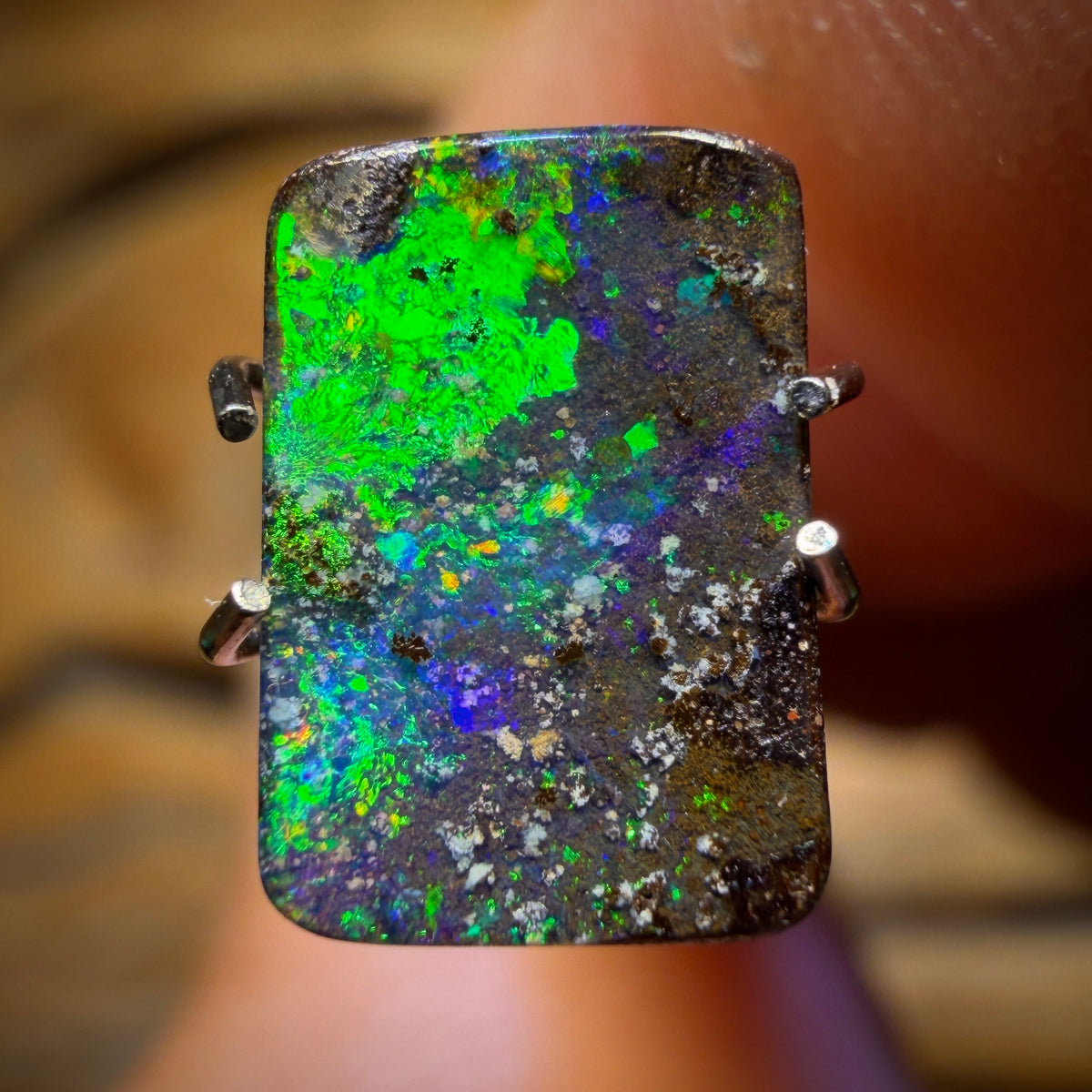 1.5cts - Solid Queensland Boulder Opal