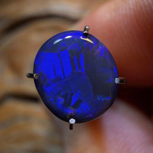 1.6cts - Lightning Ridge Black Opal