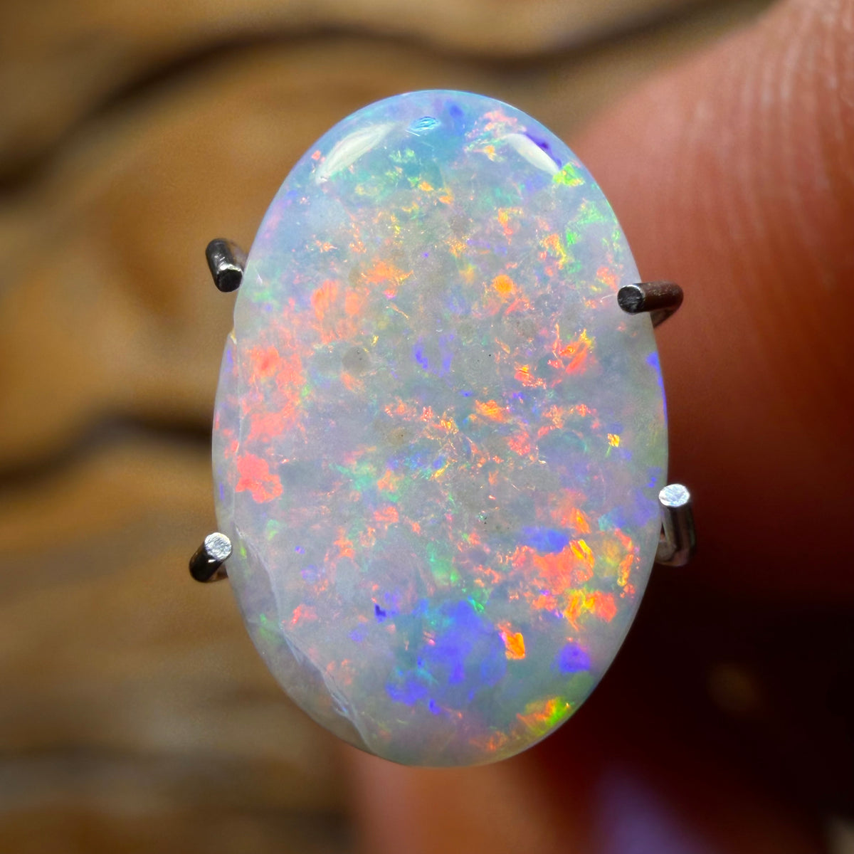 1.7cts - Rare South Australian Dark Opal from Mintabie