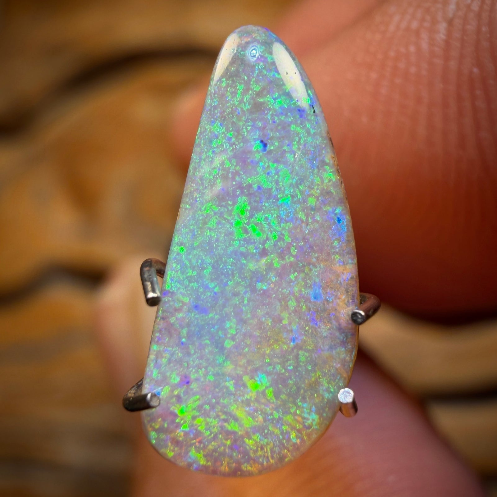 1.8cts - Solid Australian Boulder Pipe Opal