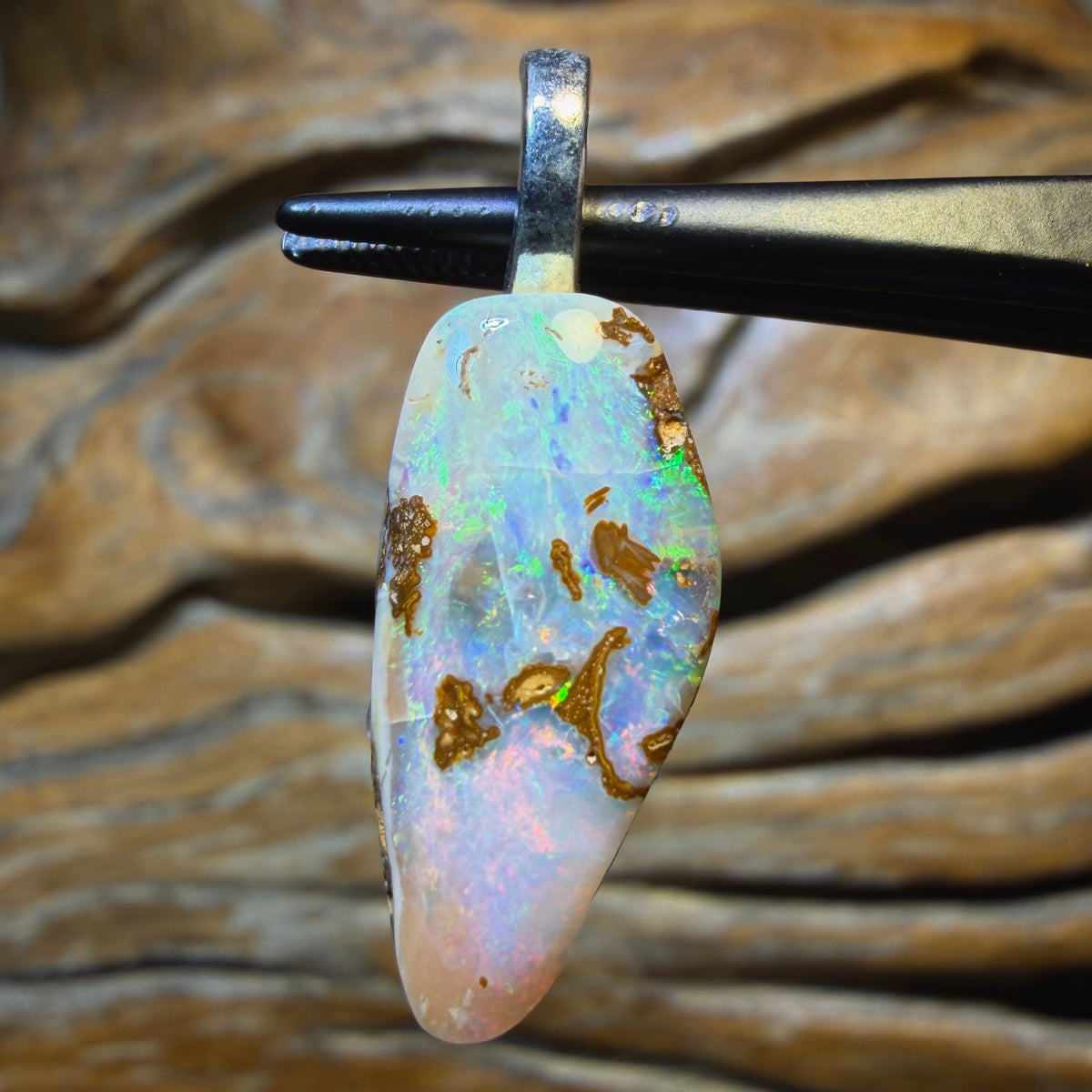 10.2cts - Solid Queensland Boulder Pipe Opal Pendant