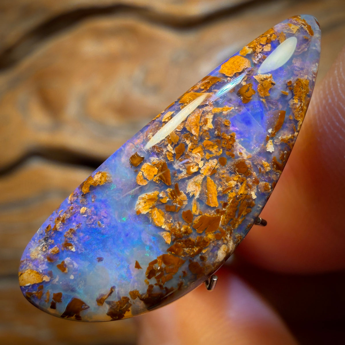 10.2cts - Wood Fossil Replacement Boulder Opal from Yowah
