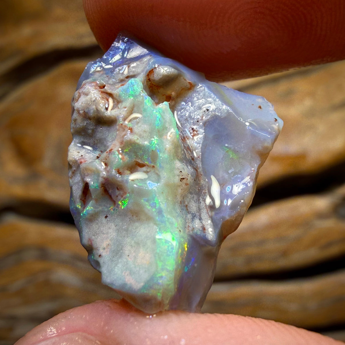 10.9cts - Lightning Ridge Dark Opal Rough Piece