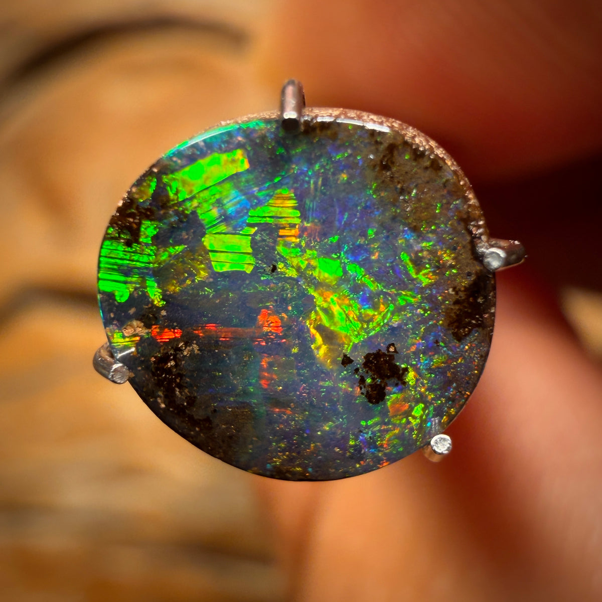 1.5cts - Kaleidoscope Kicker Australian Boulder Seam Opal