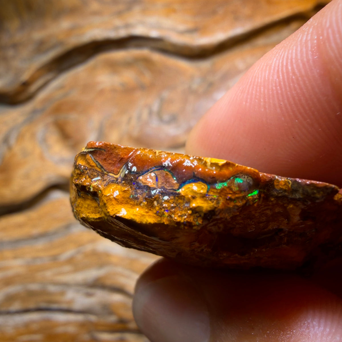 TGIF 154.4cts - TOP CUTTER Yowah Nut Conglomerate Opal Rough Piece