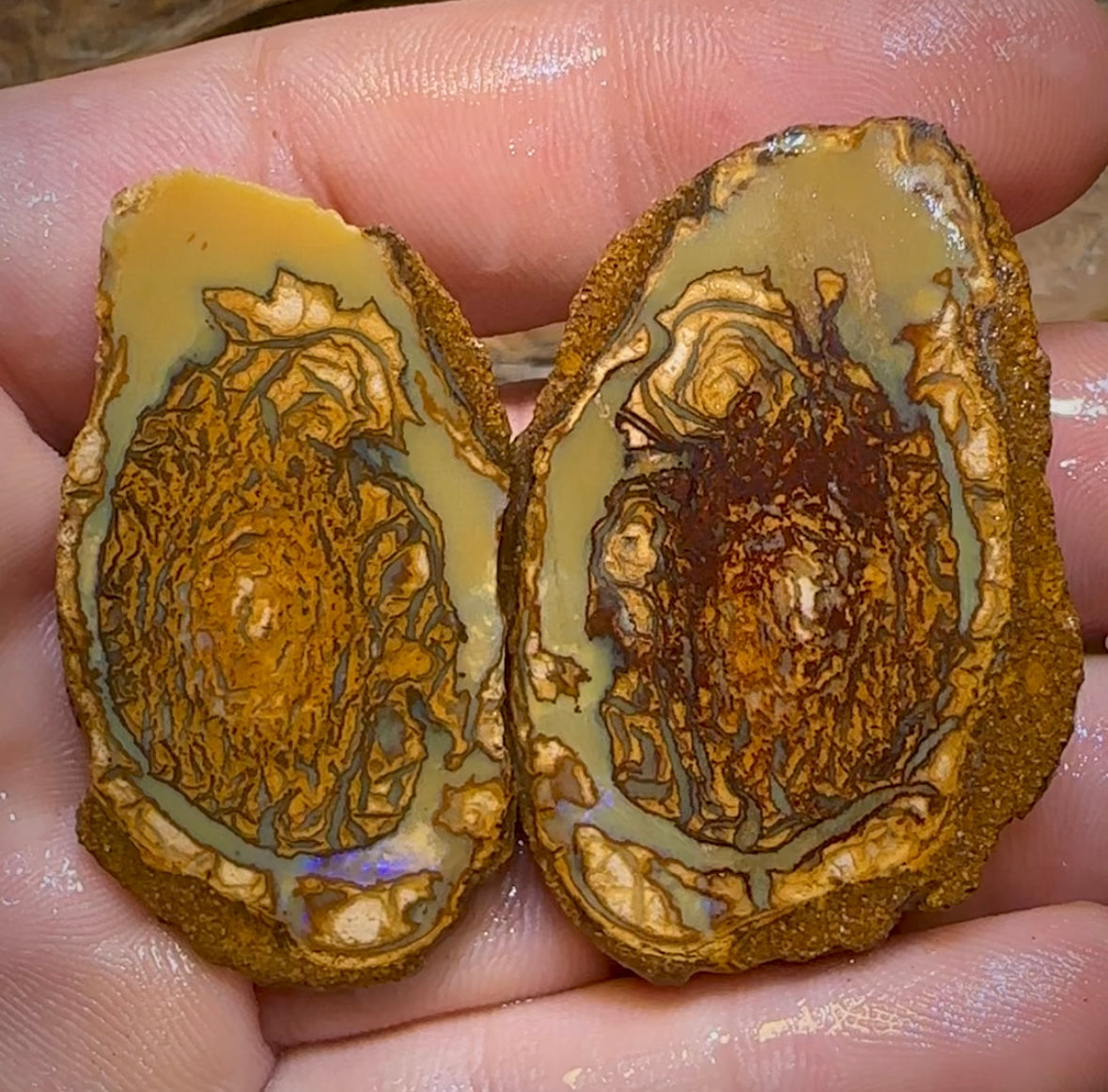136.3cts - Yowah Nut Rough Specimen Pair. Australian Boulder Opal - Opal Whisperers