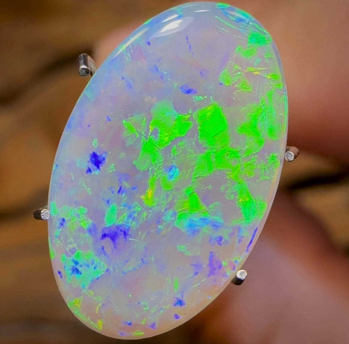 2.9cts - Lightning Ridge Light Opal. Gem Quality - Opal Whisperers