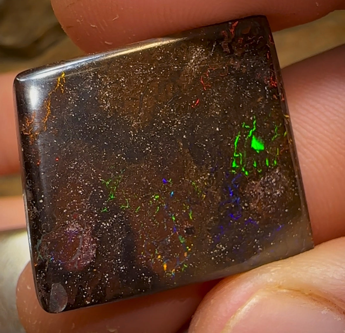 126.1cts - 3x Tribal Queensland Boulder Opal Parcel - Opal Whisperers