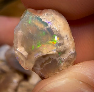 90.2cts - 12x Opalised Fossil Geological Specimens from Lightning Ridge