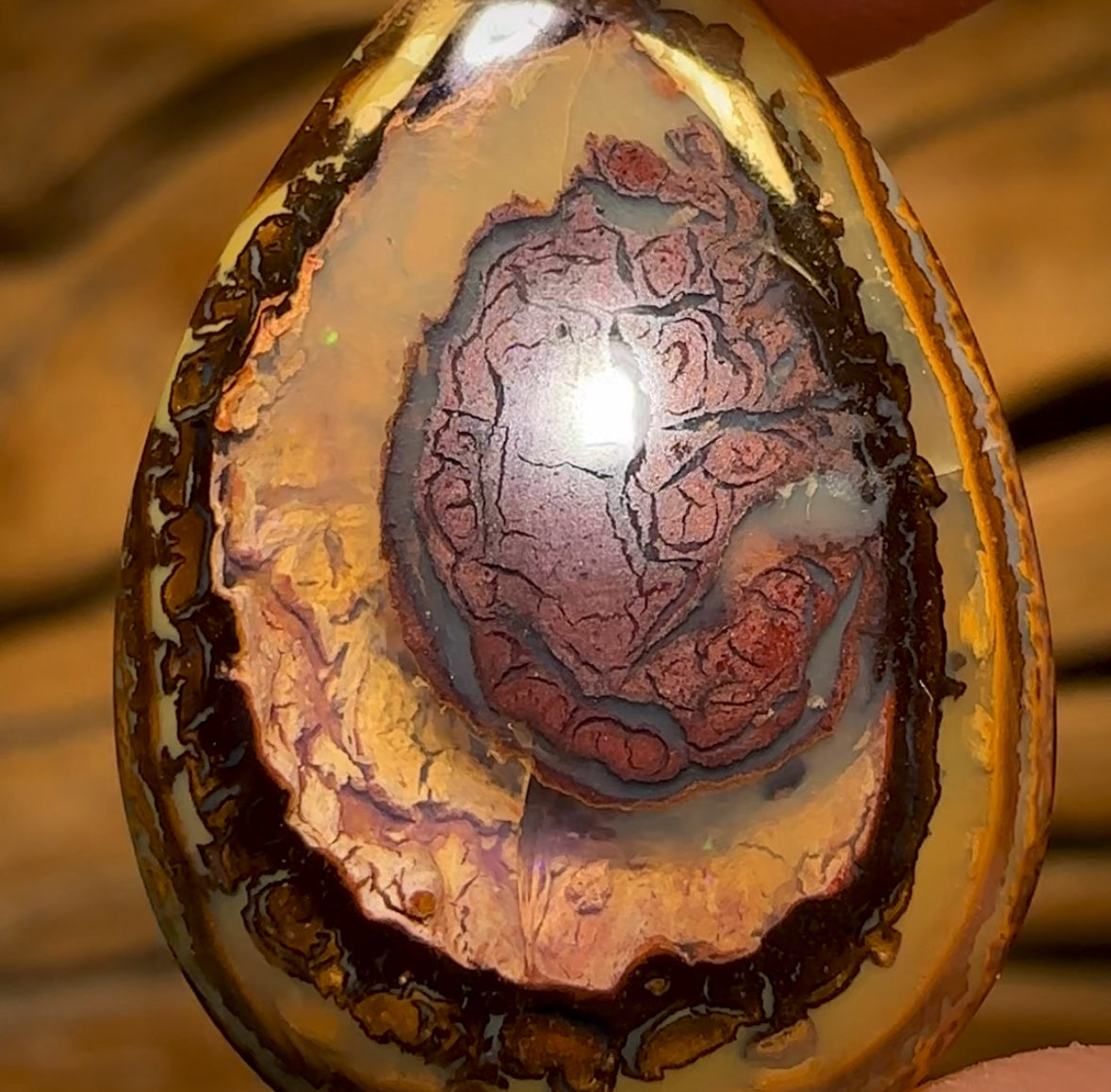 13.7cts - Yowah Nut Kernel Opal. Australian Boulder Opal