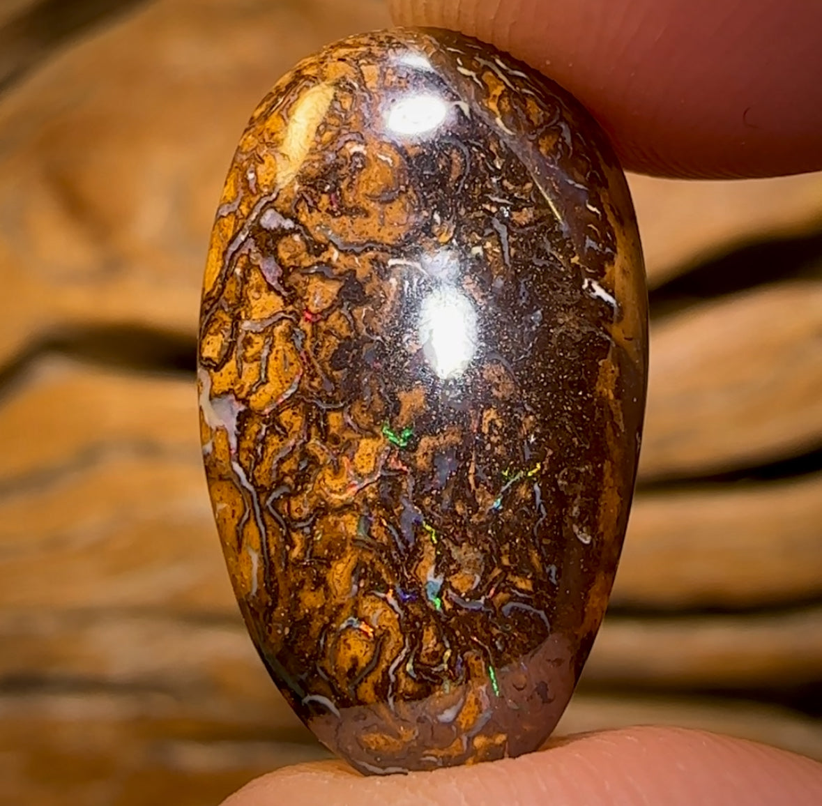 13.6cts - Tribal Queensland Boulder Opal from Yowah