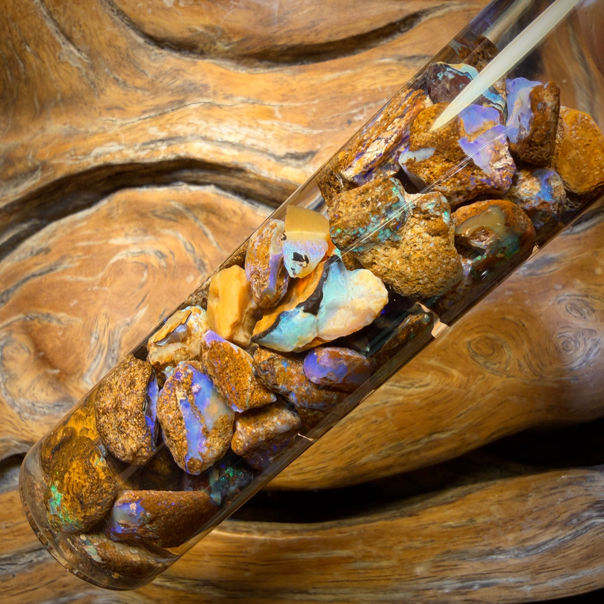 103cts - Jar of Yowah Nut Opal Rough w/ Fossil Opal