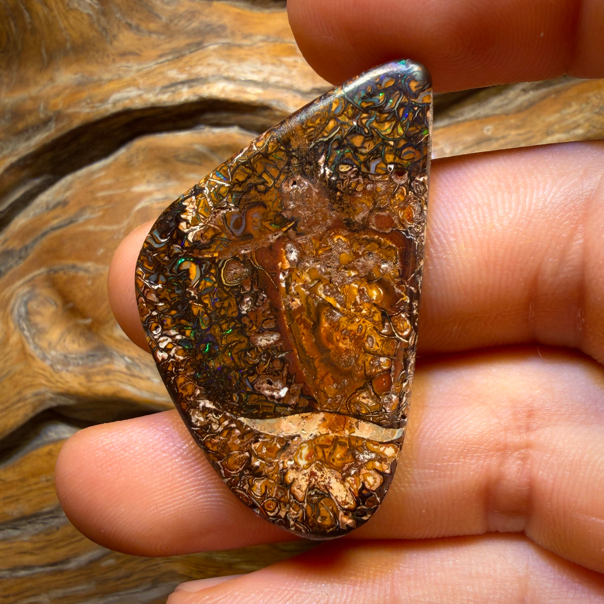 63.9cts - Tribal Queensland Boulder Opal from Yowah