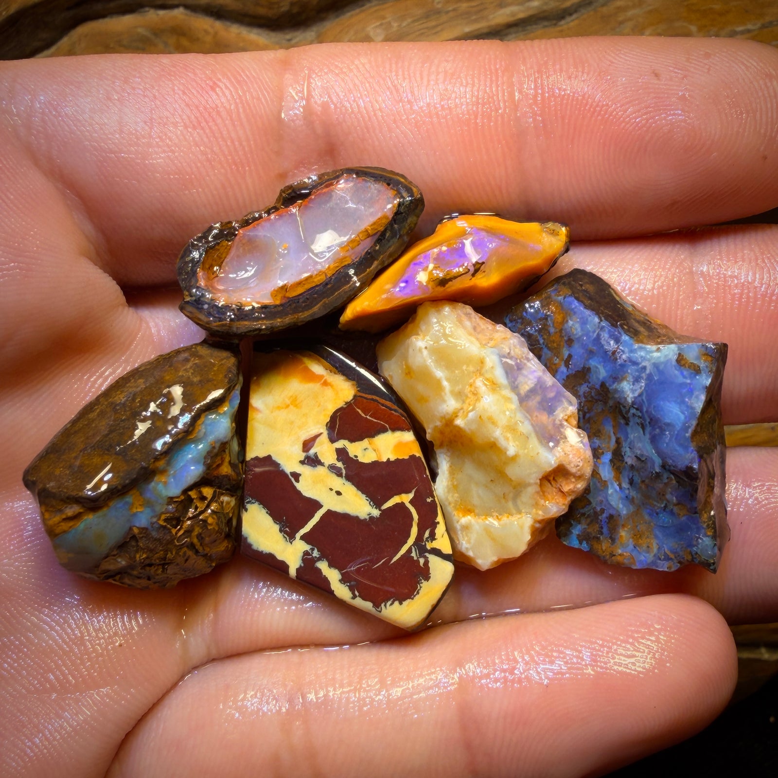 106.4cts - 6x Yowah Nut Rough Opal Parcel. Australian Boulder Opal