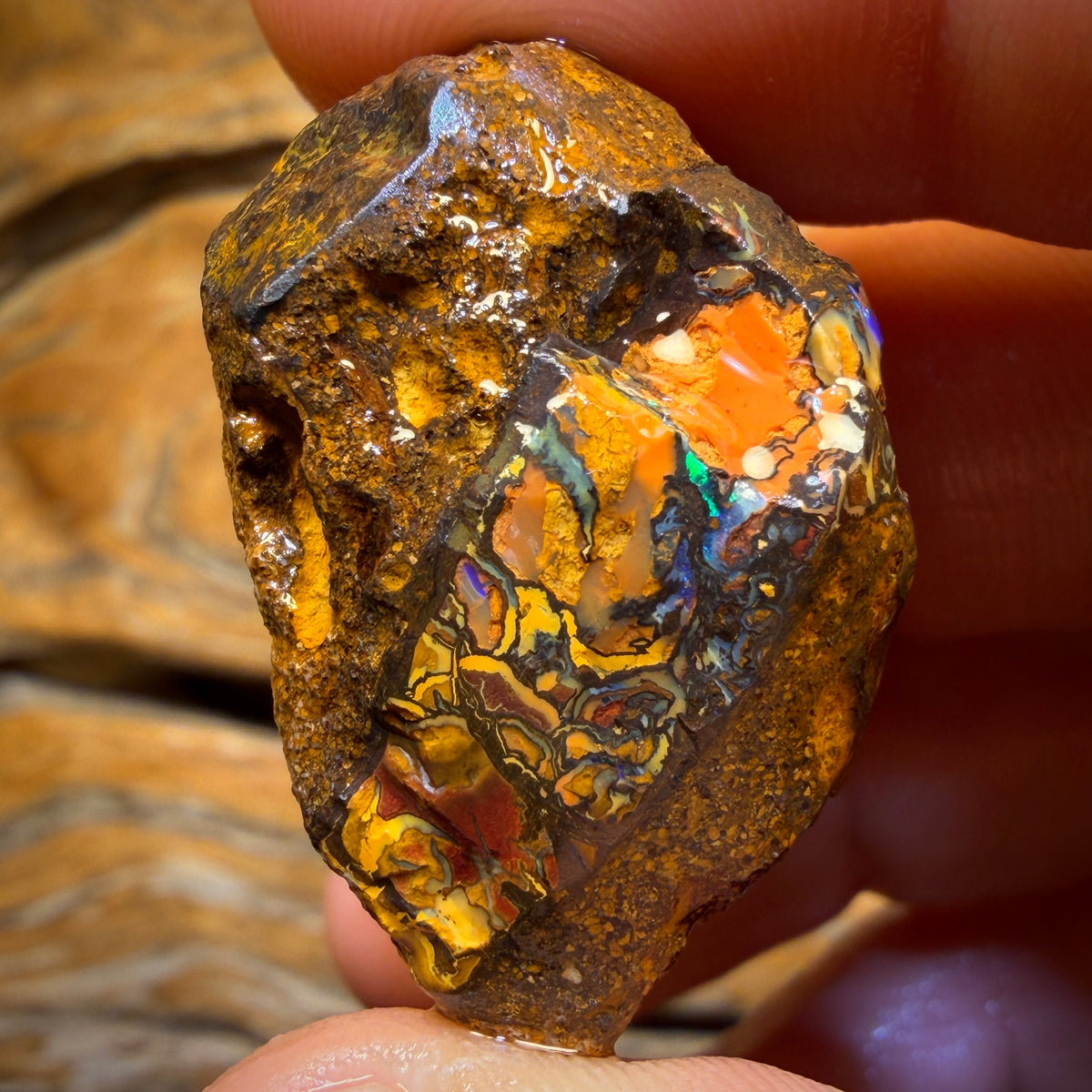 106.7cts - Tribal Yowah Nut Opal Rough Piece. Found on ‘OUTBACK OPAL HUNTERS’!!