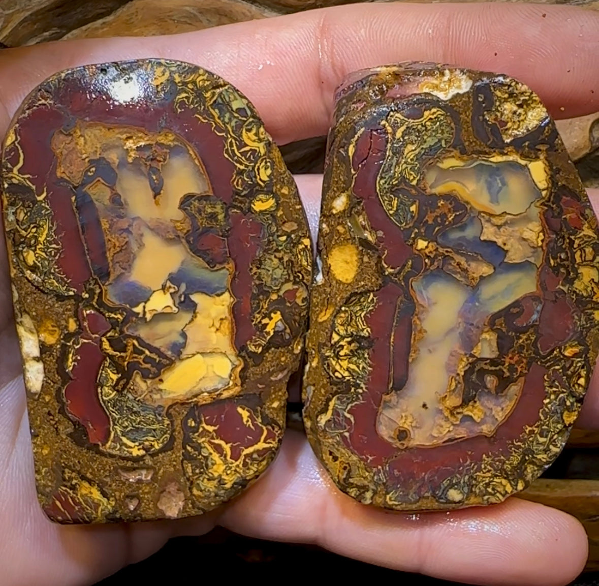 194.6g - Wonderful Yowah Nut Rough Specimen Pair. Australian Boulder Opal - Opal Whisperers