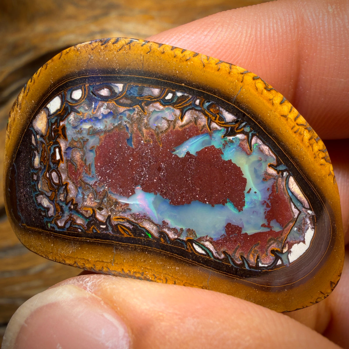 107.2cts - Yowah Nut Kernel Opal Specimen Polished