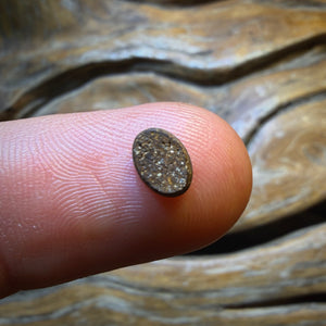 Dad Wildcard! 0.6cts - Australian Boulder Opal Doublet