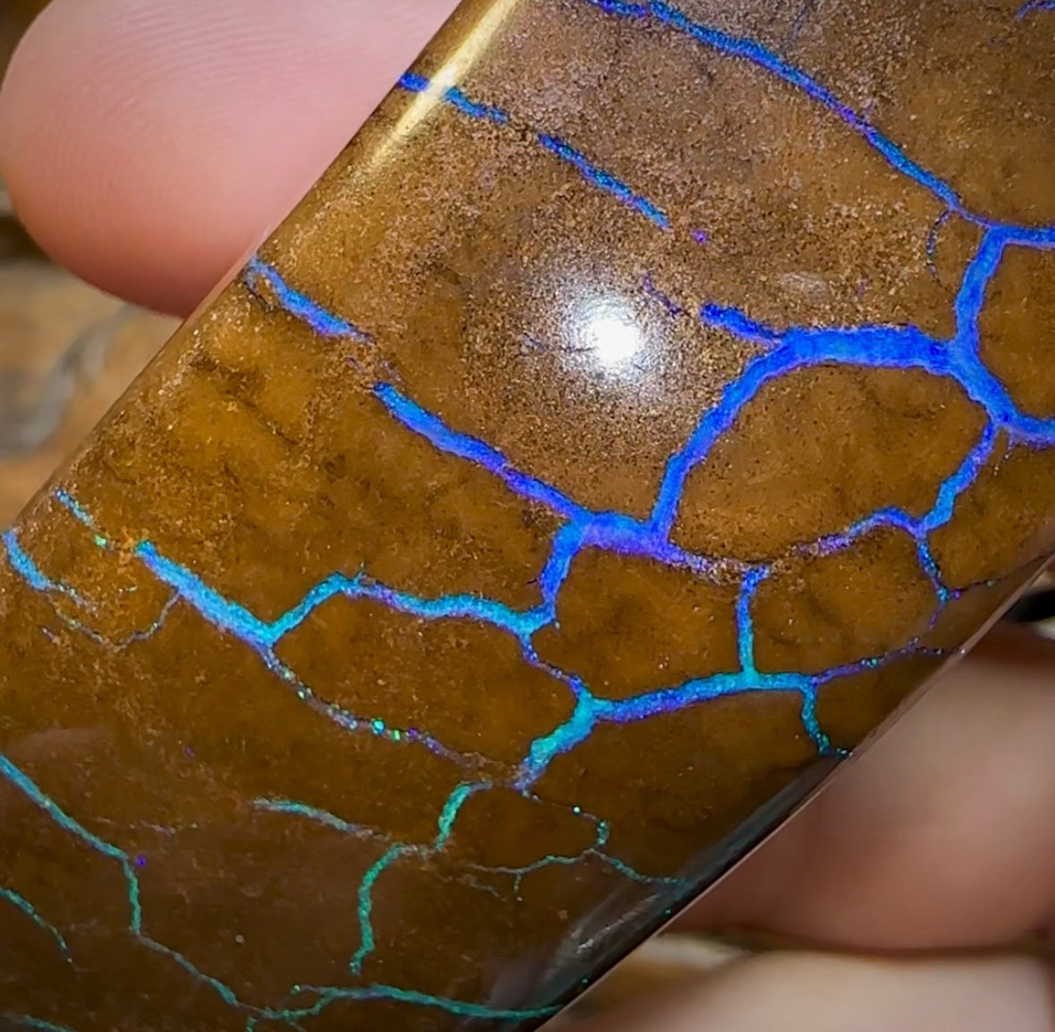 760.9cts - Polished Queensland Boulder Opal Specimen. Massive Heritage Piece - Opal Whisperers