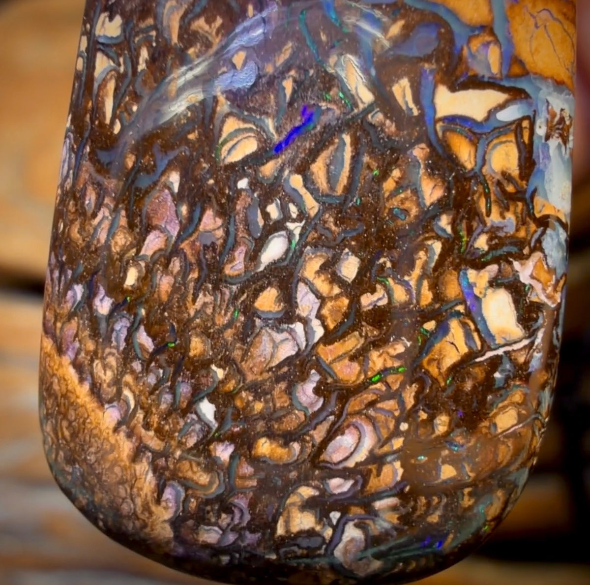 28 x 19mm - Drilled Tribal Queensland Boulder Opal Necklace