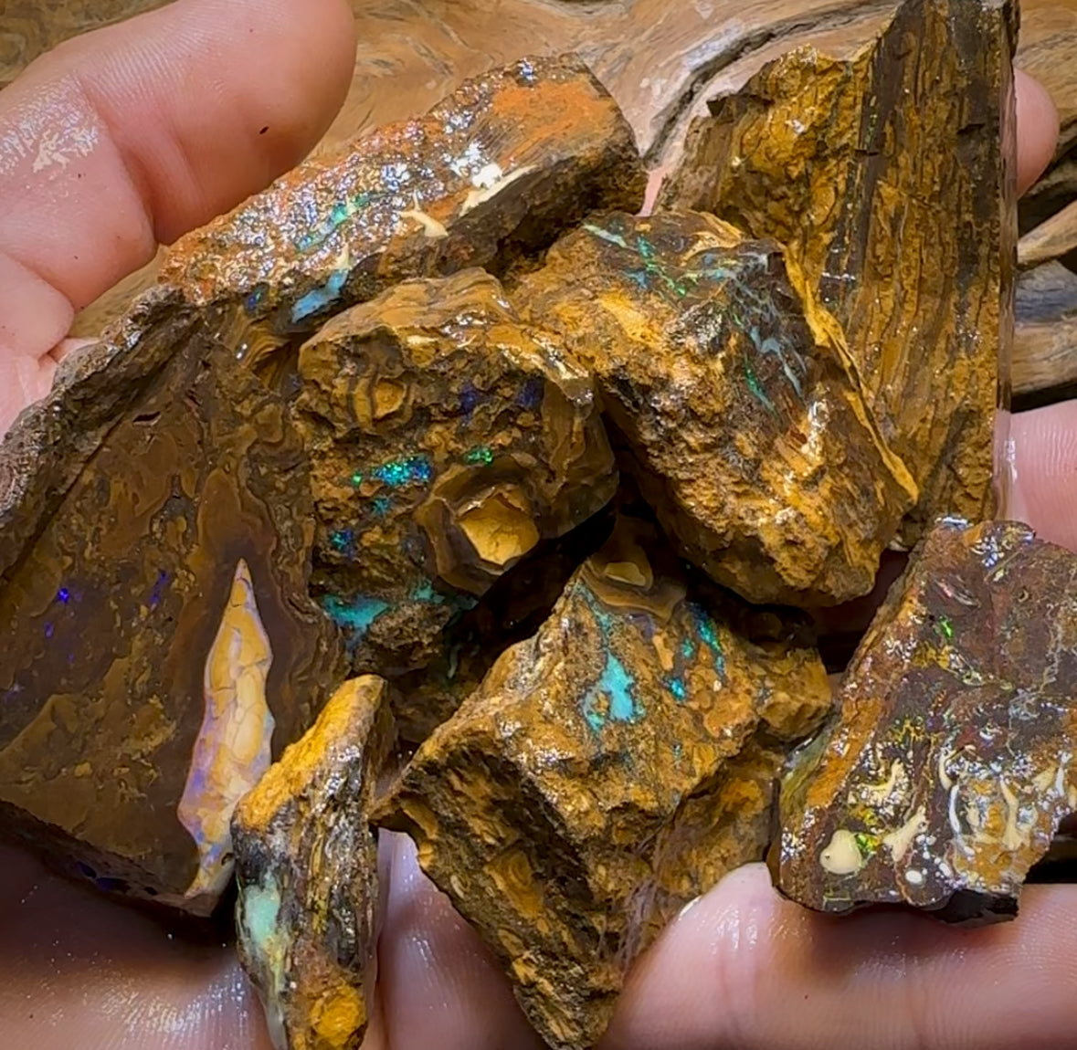 1563cts - 8x Yowah Opal Rough Parcel. Australian Boulder Opal